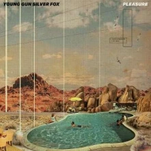 CD PLEASURE