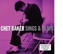 Vinyl SINGS & PLAYS