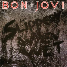 Bon Jovi, Vinyl SLIPPERY WHEN WET