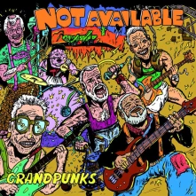 Vinyl GRANDPUNKS (BLUE)