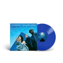 Vinyl NEVER SAY NEVER