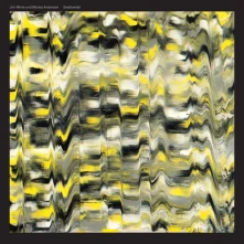 Vinyl SWALLOWTAIL