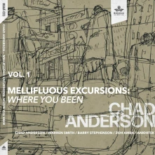 CD MELLIFLUOUS EXCURSIONS VOL.1: WHERE YOU BEEN
