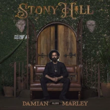 Damian Marley, Vinyl STONY HILL