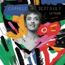 Vinyl Le Tigre