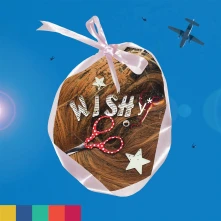 CD PARADISE ON PLANET POPSTAR