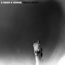 Vinyl TEXAS MATH