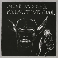 Vinyl Primitive Cool