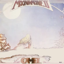 Vinyl Moonmadness