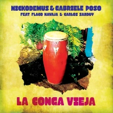 Vinyl LA CONGA VIEJA