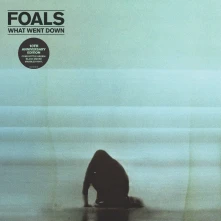 Foals, Vinyl WHAT WENT DOWN