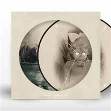 Vinyl THE LIGHT IS LEAVING US ALL