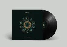 Vinyl WIDE AWAKE