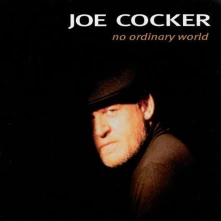 Vinyl No Ordinary World