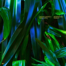Anushka Chkheidze, CD UNCONTROLLABLE THOUGHTS