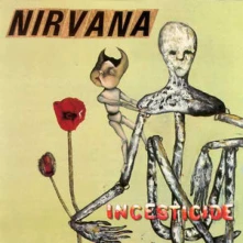Nirvana, Vinyl INCESTICIDE