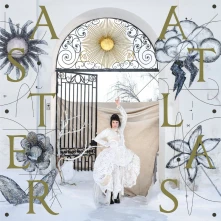 Vinyl ASTER, ATLAS