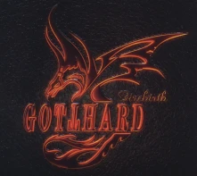 CD FIREBIRTH
