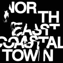 Vinyl NORTH EAST COASTAL TOW...