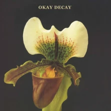 CD OKAY DECAY