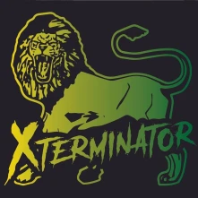 Vinyl XSTORY