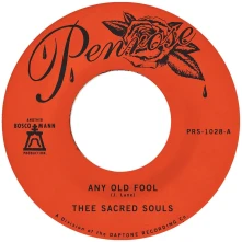 Vinyl 7-ANY OLD FOOL / PRICE...