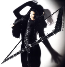 Tarja Turunen, Vinyl SHADOW SELF