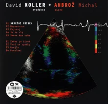 Michal Ambrož & David Koller, CD Srdeční příběh