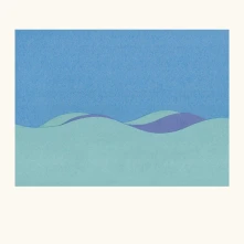 Vinyl Flore Laurentienne - Volume Ii (Blue)
