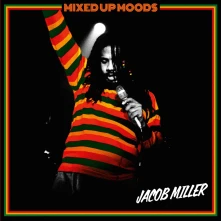 Vinyl MIXED UP MOODS