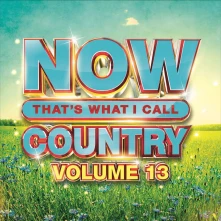CD NOW THAT'S WHAT I CALL COUNTRY VOLUME 13