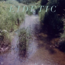 Vinyl EIDETIC