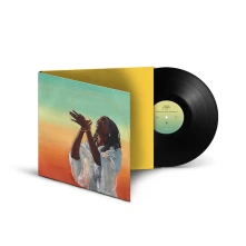 Vinyl ESSENCE & ELEMENTS