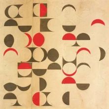 Vinyl HARLEQUIN
