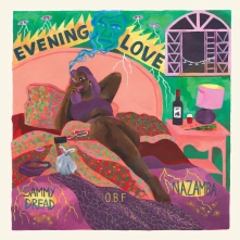 Vinyl EVENING LOVE