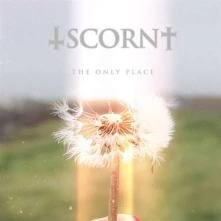 Vinyl ONLY PLACE