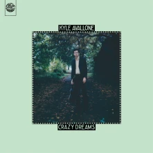 Vinyl CRAZY DREAMS