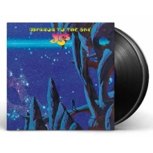 Vinyl Mirror To the Sky