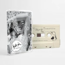 Björk, Kazeta VESPERTINE