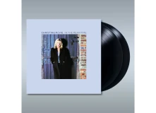 Vinyl IN THE MEANTIME