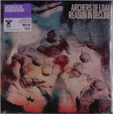 Vinyl REASON IN DECLINE