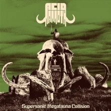 Acid Mammoth, Vinyl SUPERSONIC MEGAFAUNA COLLISON