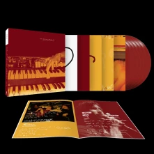 Vinyl DESTROY DESTROY DESTROY