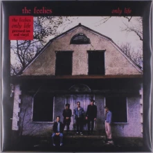 The Feelies, Vinyl ONLY LIFE