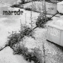 Vinyl RISSE