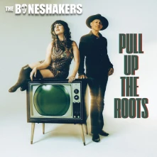 CD PULL UP THE ROOTS