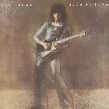 Vinyl BLOW BY BLOW