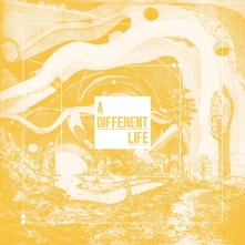 Vinyl A DIFFERENT LIFE