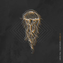Vinyl MIDAS FALL - COLD WAVES DIVIDE US