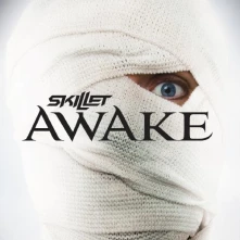 CD SKILLET - AWAKE